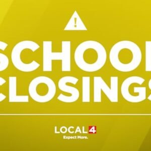 School Closings in Metro Detroit Amidst Severe Winter Weather - Thumbnail