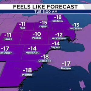 Winter Storm Warning: Dangerous Cold Weather Hits Metro Detroit - Thumbnail