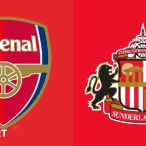 Arsenal Triumph Over Sunderland in Premier League Clash - Thumbnail