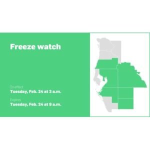 Freeze Watch Issued for Central West Florida as Temperatures Dip - Thumbnail