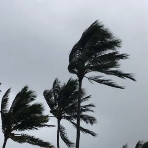 Honolulu Hawaii Weather: Severe Storms Lead to Cancellations - Thumbnail