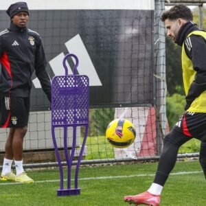 Benfica Prepares to Face Tondela: Key Updates and Insights - Thumbnail