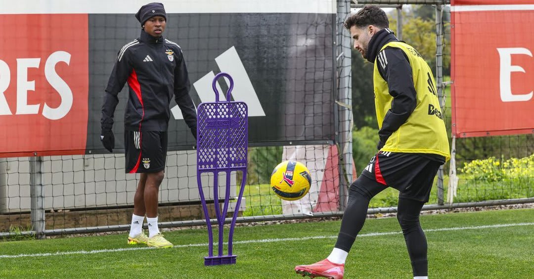 Benfica Prepares to Face Tondela: Key Updates and Insights