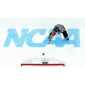 Advancements and Achievements at Bentley University Sports - Thumbnail