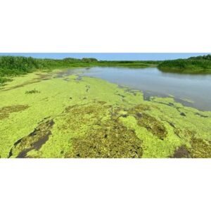 Earthquake Hits Louisiana: Four Quakes in Ten Minutes Shake the State - Thumbnail