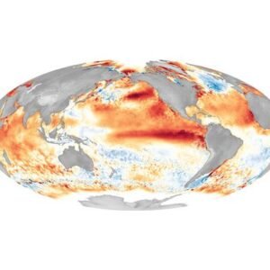 Strong El Niño Forecast: What to Expect in the Coming Months - Thumbnail