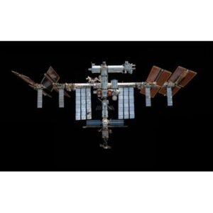 Mars Missions: Insights from Mice Research on Muscle Health - Thumbnail