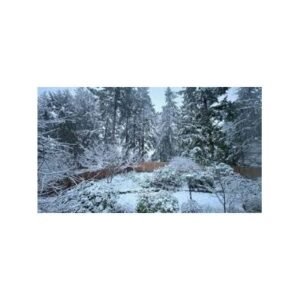 Snoqualmie Pass Conditions: Snow Impacts Travel Through the Pass - Thumbnail