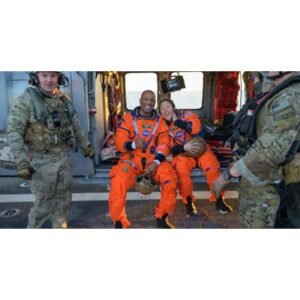 Latest Insights on Dogs: Healthies Canines and Expert Care Tips - Thumbnail