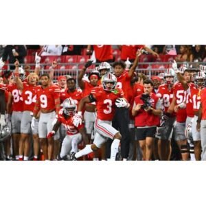 Lorenzo Styles Jr.: The NFL Draft Journey of a Rising Star - Thumbnail