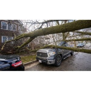 Madison Weather: Severe Storms Cause Damage and Power Outages - Thumbnail