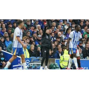 Brighton Dominate Wolves in Premier League Clash - Thumbnail