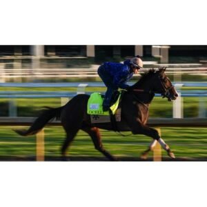 Kentucky Derby 2026 Winner Avoids Preakness Stakes Shocks Fans - Thumbnail