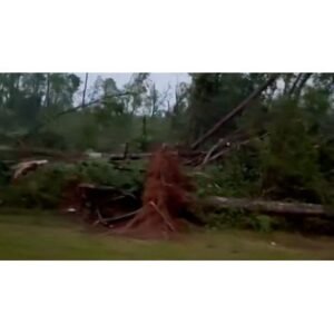 Catastrophe in Brookhaven: Latest Mississippi Tornado Warning Insights - Thumbnail
