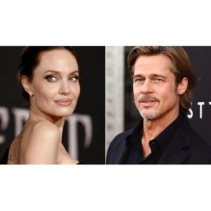 Brad Pitt’s Battle Revives: Appeals Court Rules on Winery Dispute - Thumbnail