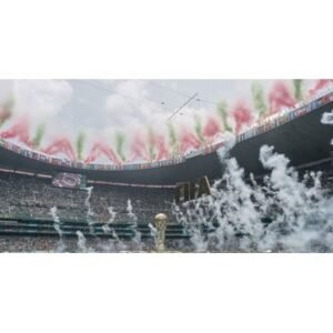 Shocking Incidents Mark 2026 FIFA World Cup Qualifiers - Thumbnail