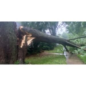 Shocking Storms Cause Widespread Power Outages Across Iowa - Thumbnail