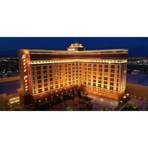 Shocking Las Vegas Horse Stabbing: Teen Arrested After Cruel Act - Thumbnail