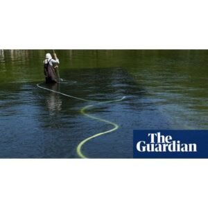 Shocking Damage to Lincoln Memorial Reflecting Pool Exposed - Thumbnail