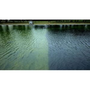 Shocking Claims: Trump Says Reflecting Pool Vandalized After $15M Renovation - Thumbnail