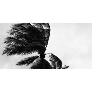 Critical Flooding Threats Loom as Tropical Storm Arthur Hits Gulf Coast - Thumbnail