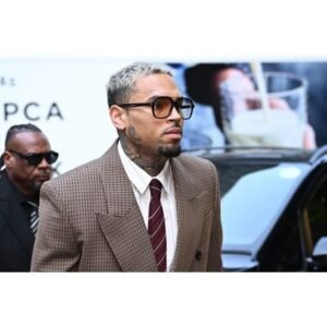 Chris Brown Hit With Shocking $13 Million Verdict in Dog Attack - Thumbnail