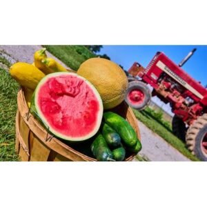 Surprising Surge: Cyclospora Parasite Outbreak Exceeds 1,000 Cases - Thumbnail
