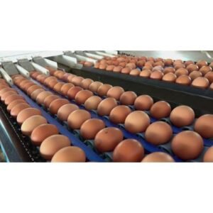 Urgent Egg Recall 2026: Nearly 20 Million Eggs Potentially Contaminated! - Thumbnail