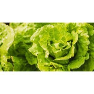 Revealed: Confusion Over FDA Cyclospora Parasite Outbreak - Thumbnail