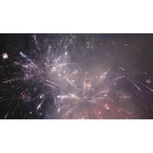 Historic Fourth of July Firework Celebrations Light Up Los Angeles - Thumbnail