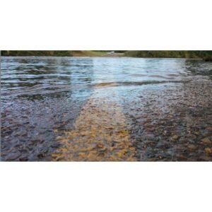 Critical Flood Alerts Issued for Multiple Northeast Ohio Counties - Thumbnail