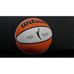 Shocking Postponement: Liberty vs Wings Game Delayed Due to Travel Issues - Thumbnail