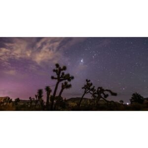 Surprising Perseid Meteor Showers Set to Dazzle in 2026 - Thumbnail