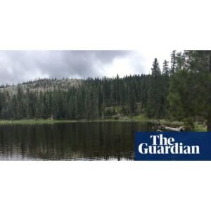 Shocking Kidnapping in Shasta-Trinity National Forest Unfolds - Thumbnail
