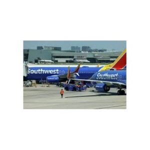 Shocking Developments in the Southwest Flight Attendant Immigration Case - Thumbnail