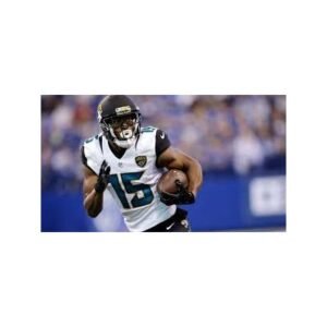 Breaking: Former Steelers WR Allen Robinson Retires at 33 - Thumbnail