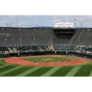 Breaking: Little League World Series Bracket Takes Shape - Thumbnail