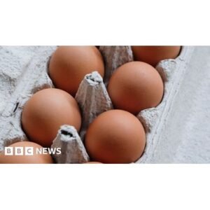 Shocking Salmonella Outbreak Eggs Linked to 207 UK Cases - Thumbnail