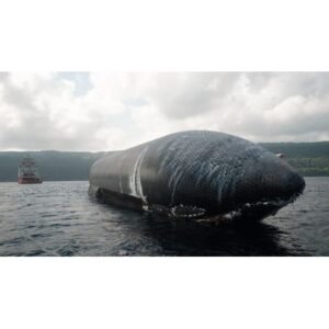 Shocking: SpaceX Starship Salvaged After 24 Days at Sea - Thumbnail