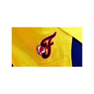 Shocking WNBA Fan Ejection at Fever-Aces Game Explained - Thumbnail