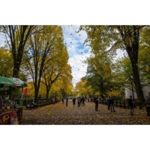 Shocking September Weather Predictions Old Farmer’s Almanac - Thumbnail