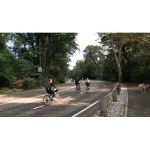 Shocking Central Park Cyclist Dog Collision Kills Man - Thumbnail