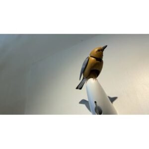 Shocking Kelly Clarkson Video Debate Fuels $15M Bird Feud - Thumbnail