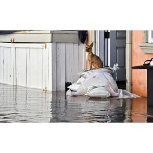 Shocking Newport Beach Flooding Hits Historic 8.4 Feet - Thumbnail