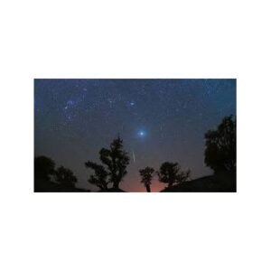 Peak Orionids: Surprising Halley’s Comet Sky Show - Thumbnail