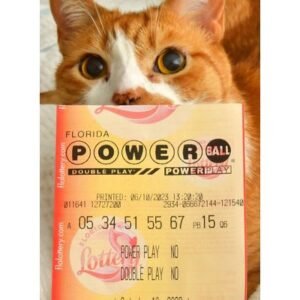 Breaking: Power Ball Jackpot Climbs to $687 Million - Thumbnail