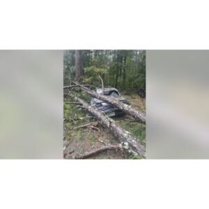 Power Outage Near Me: Shocking Georgia Storm Update - Thumbnail