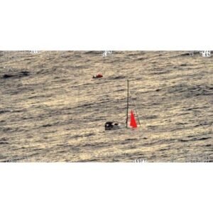 Shocking: Sailors Rescued After Whale Collision in Pacific - Thumbnail